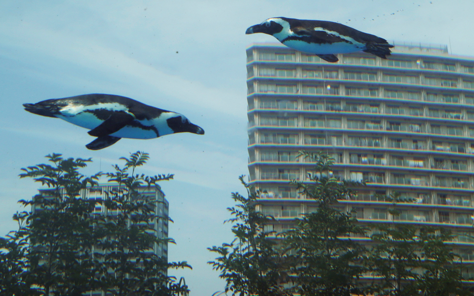 χρέωνε-πολύ-ίσως-δεν-έκοβε-και-αποδε-2200610