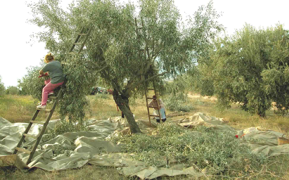 σύγχυση-με-τους-βούλγαρους-τουρίστε-2202458