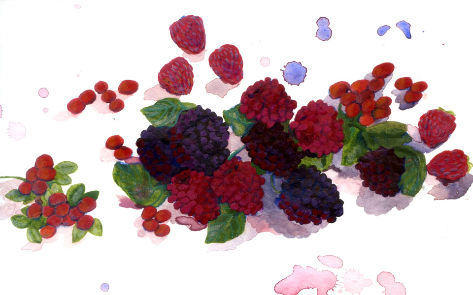 φρούτα-του-δάσους-2200795