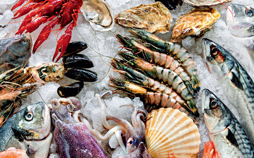 από-τον-πάγκο-8-ιχθυοπωλείων-στο-πιάτο-2198358