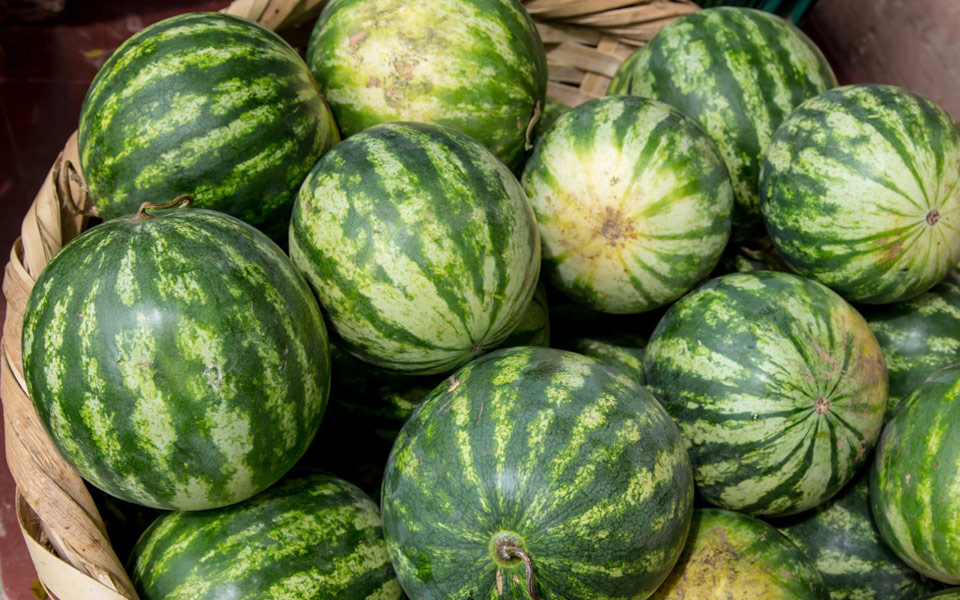 το-καλάθι-του-μήνα-ιουλίου-2199344