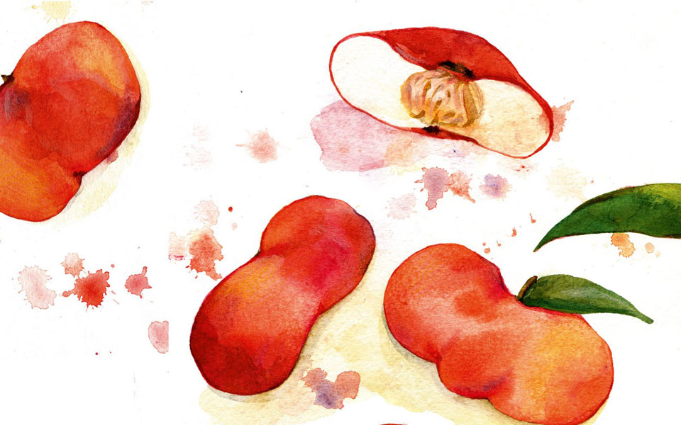 ροδάκινα-ντόνατ-2200573