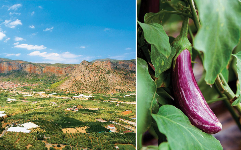 τσακώνικες-γεύσεις-2200568