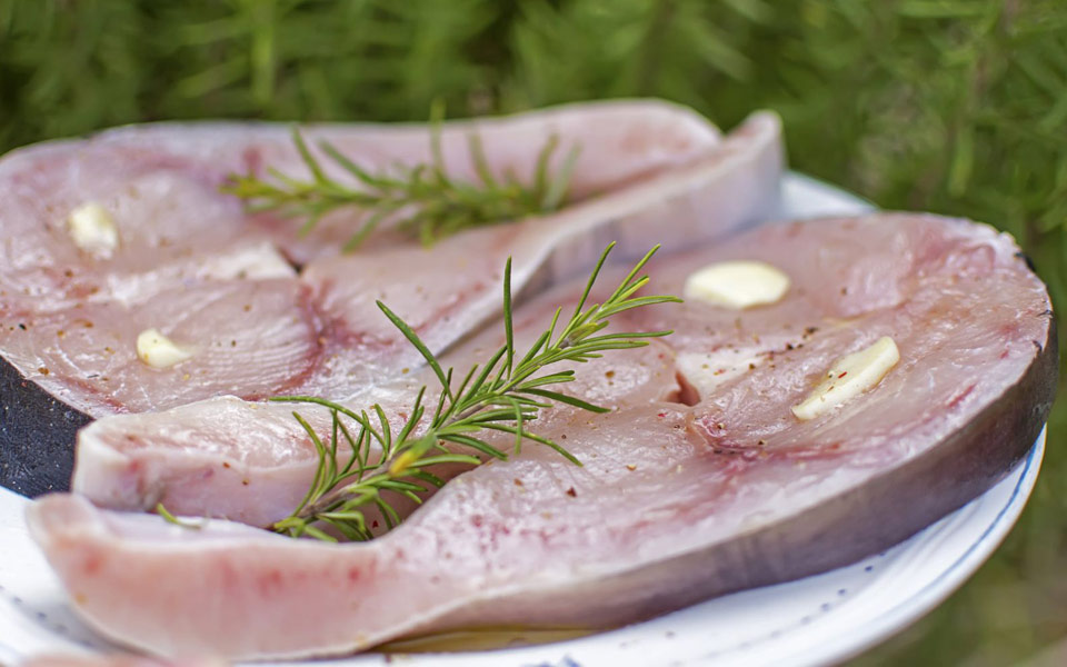 ξιφίας-μonomachus-pentanostimus-2200788