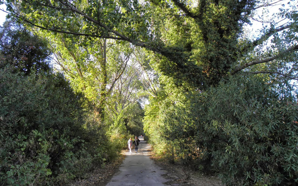 ποιος-πάγωσε-τη-βαρυμπόμπη-2201350