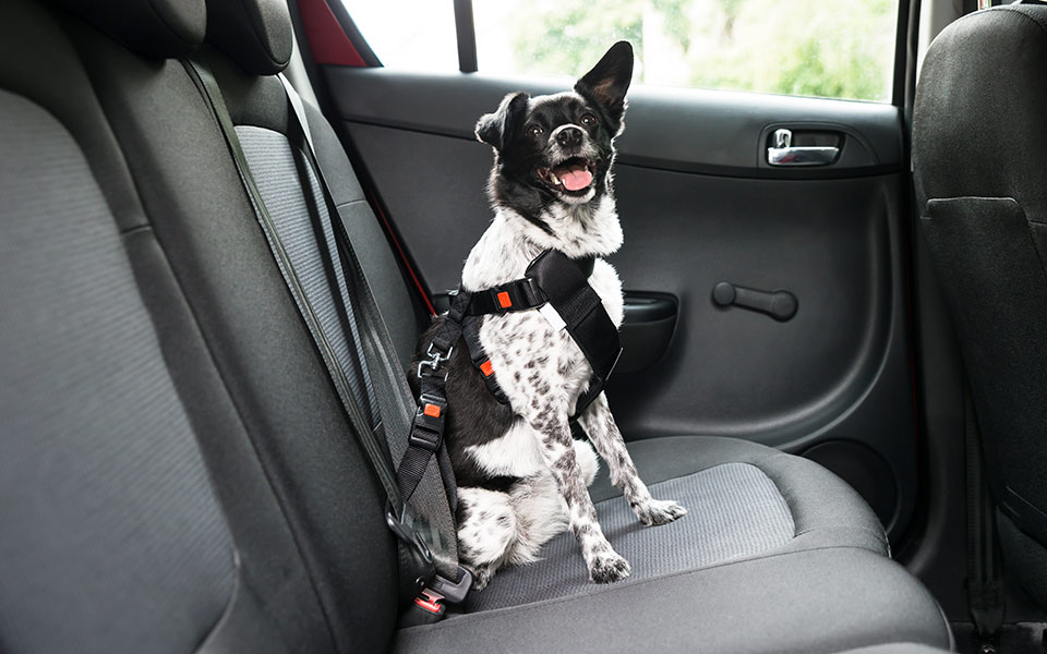 ταξιδεύω-με-ασφάλεια-για-όλους-2202713