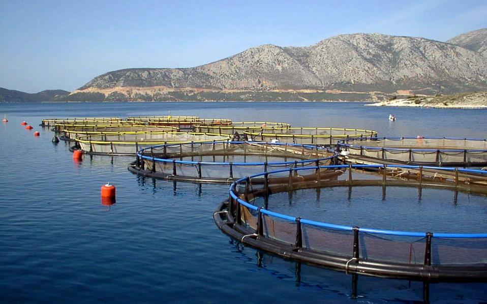 τρεις-ερευνητικές-δράσεις-ενισχύοντ-2201336