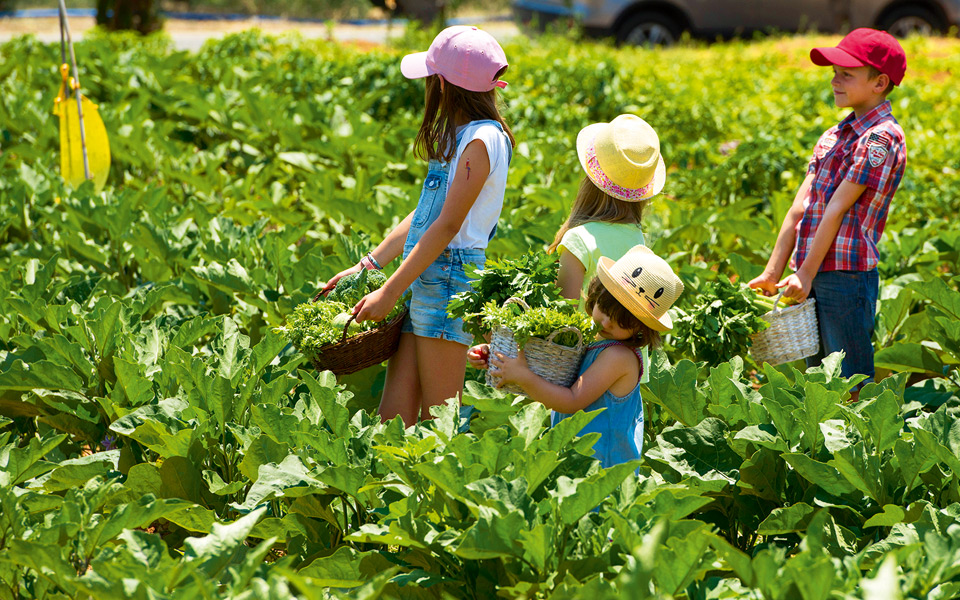 mικροί-αρχαιολόγοι-και-κηπουροί-εν-δρά-2201158