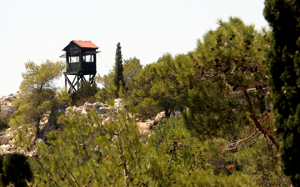 ολοκληρωμένοι-δασικοί-χάρτες-έως-το-2019-2202970