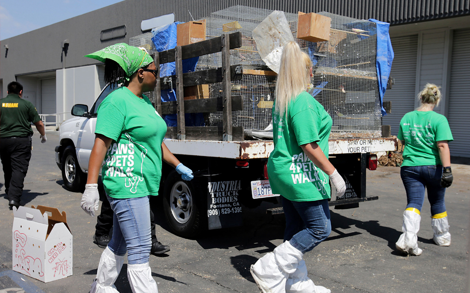 λος-άντζελες-βρέθηκαν-2000-ζώα-σε-άθλιες-σ-2203582