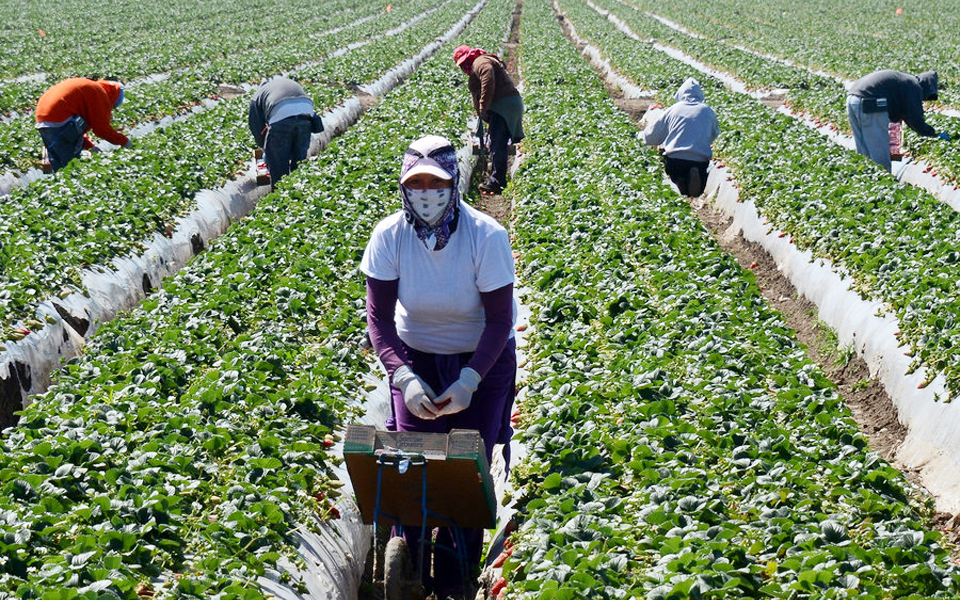 λιγότεροι-μετανάστες-λιγότερες-δουλ-2203712