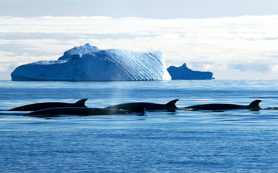 το-τραγούδι-της-γης-2204527