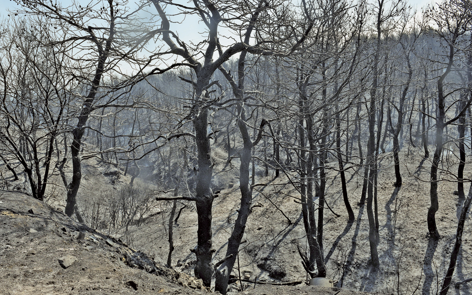 kυβερνητικές-παραφωνίες-με-φόντο-τις-π-2204873