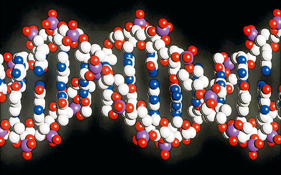 διεμφυλικοί-ο-ρόλος-που-παίζει-το-γονι-2204135
