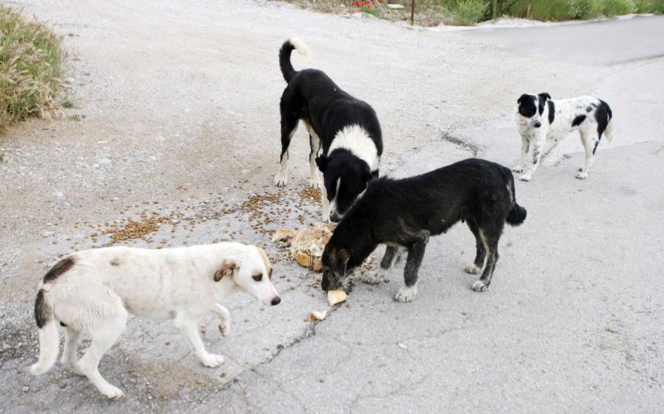 αλλεπάλληλα-κρούσματα-δηλητηρίασης-2203880