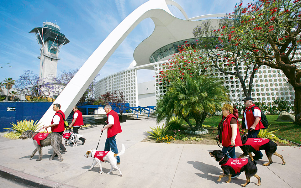 σκύλοι-θεραπευτές-2207100