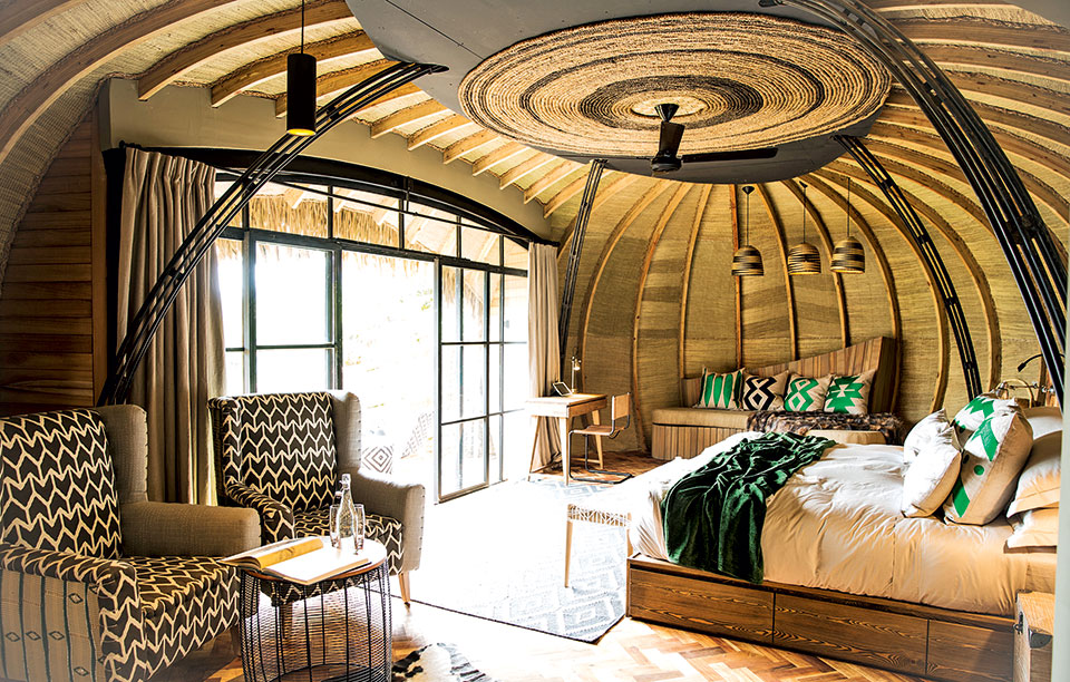 γνωριμία-με-γορίλες-2206218