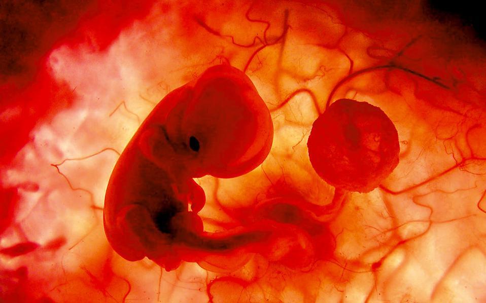 ηπα-επιστήμονες-πέτυχαν-την-γενετική-2203141