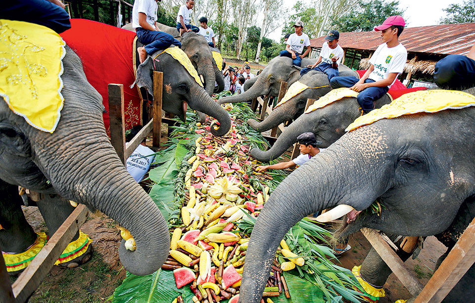 κέρασμα-για-όλους-2205159