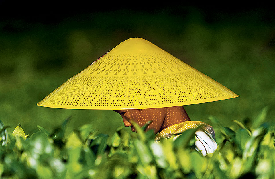 ποτό-σκάνδαλο-2206234