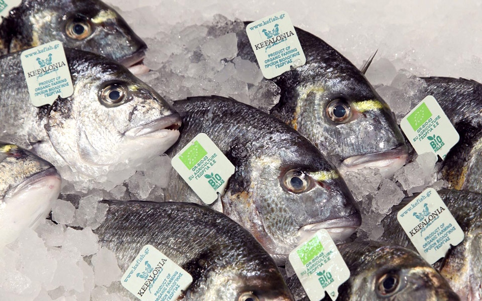 τα-ατού-των-βιολογικών-ψαριών-2204192