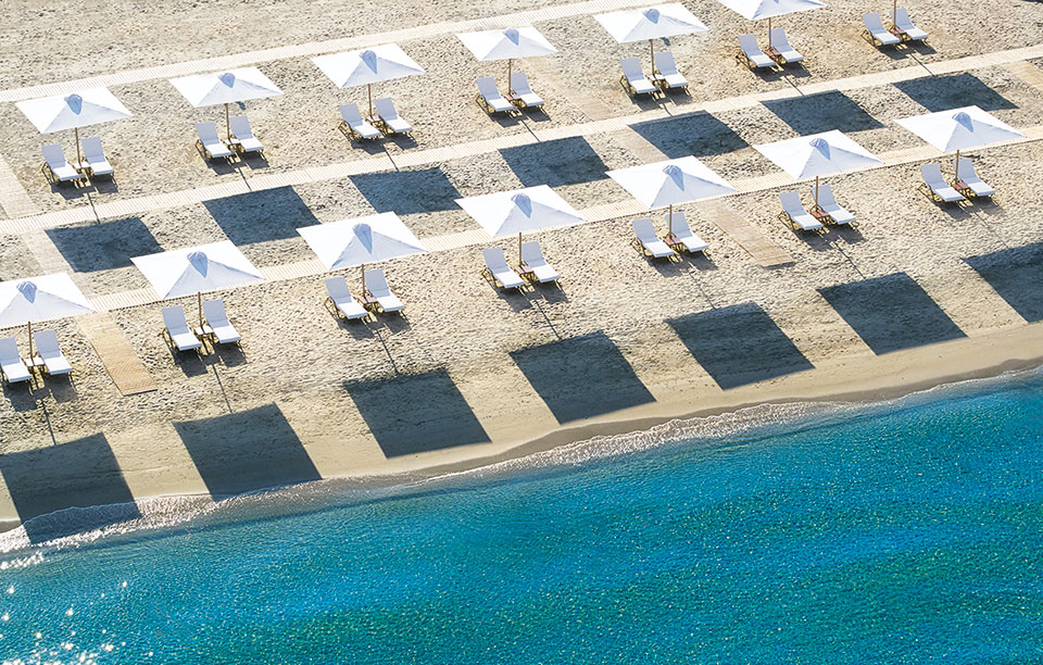 το-sani-των-ενηλίκων-2203339