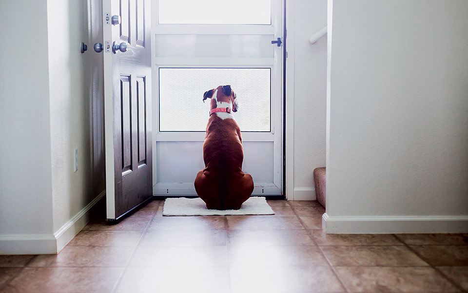 καλέ-μου-φίλε-νικ-2205308