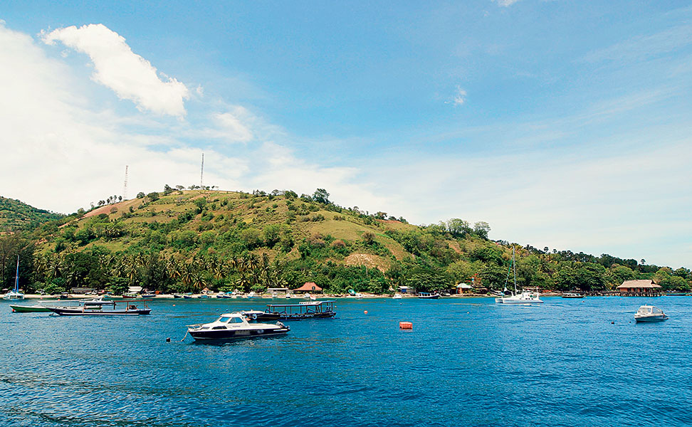 ένα-φιλόδοξο-στοίχημα-2206240