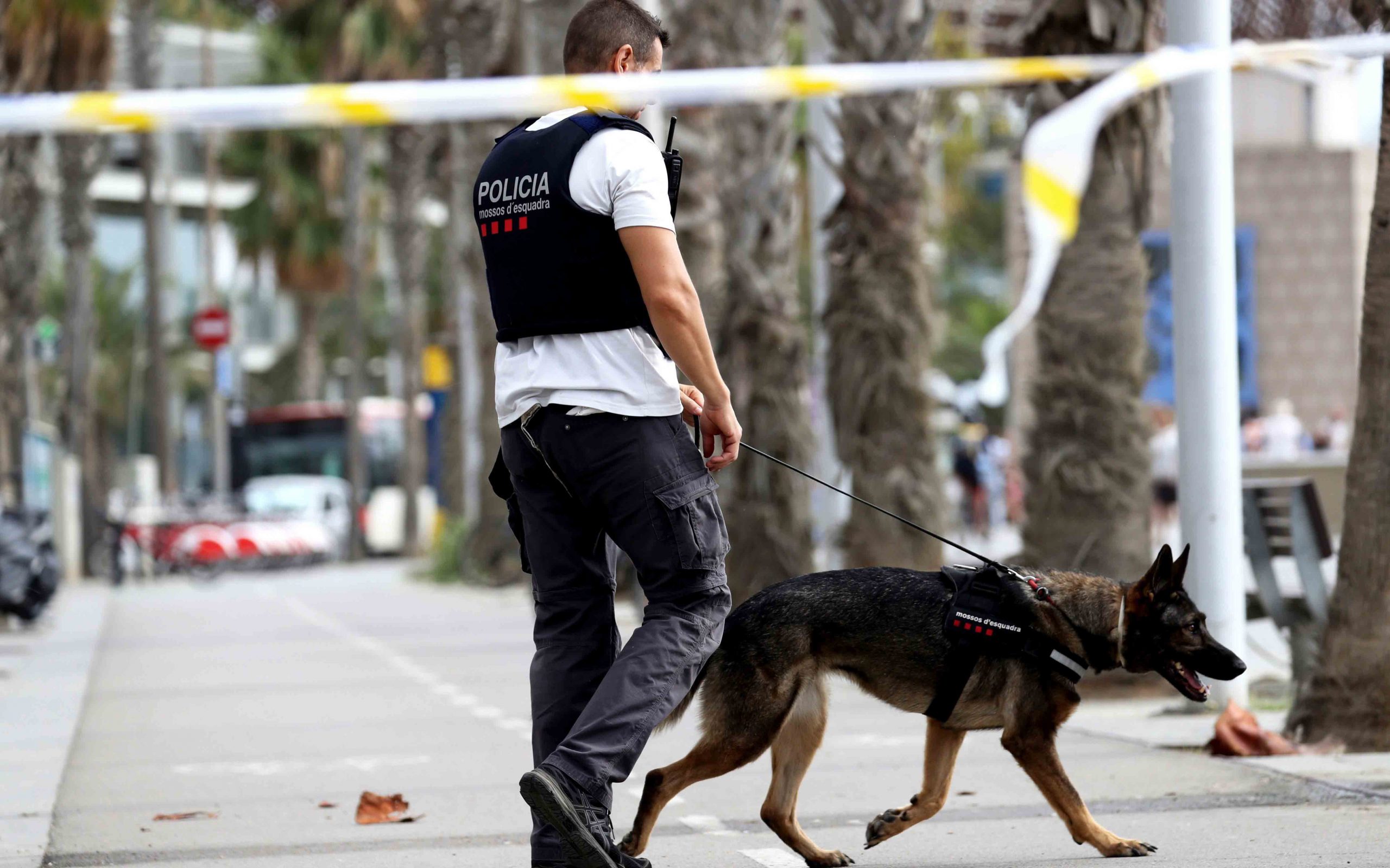 εξουδετερώθηκε-ο-καταζητούμενος-οδη-2205597