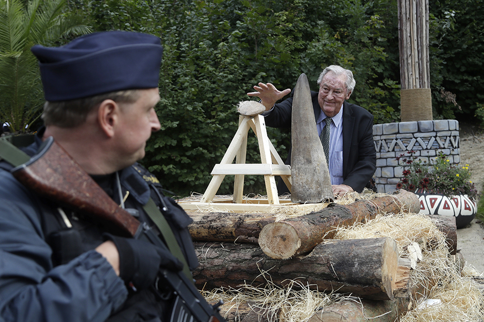 φωτογραφήματα-2209914