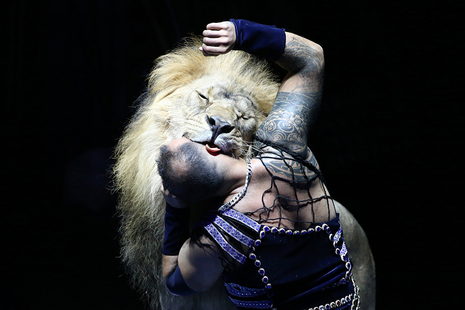 φωτογραφήματα-2210513