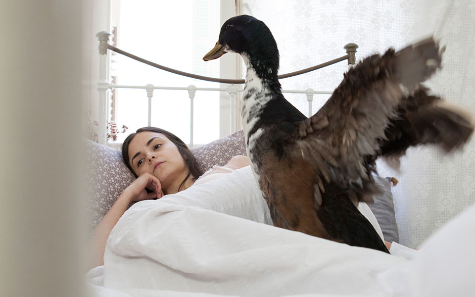 η-καινούργια-και-μεγάλη-πορεία-2209820