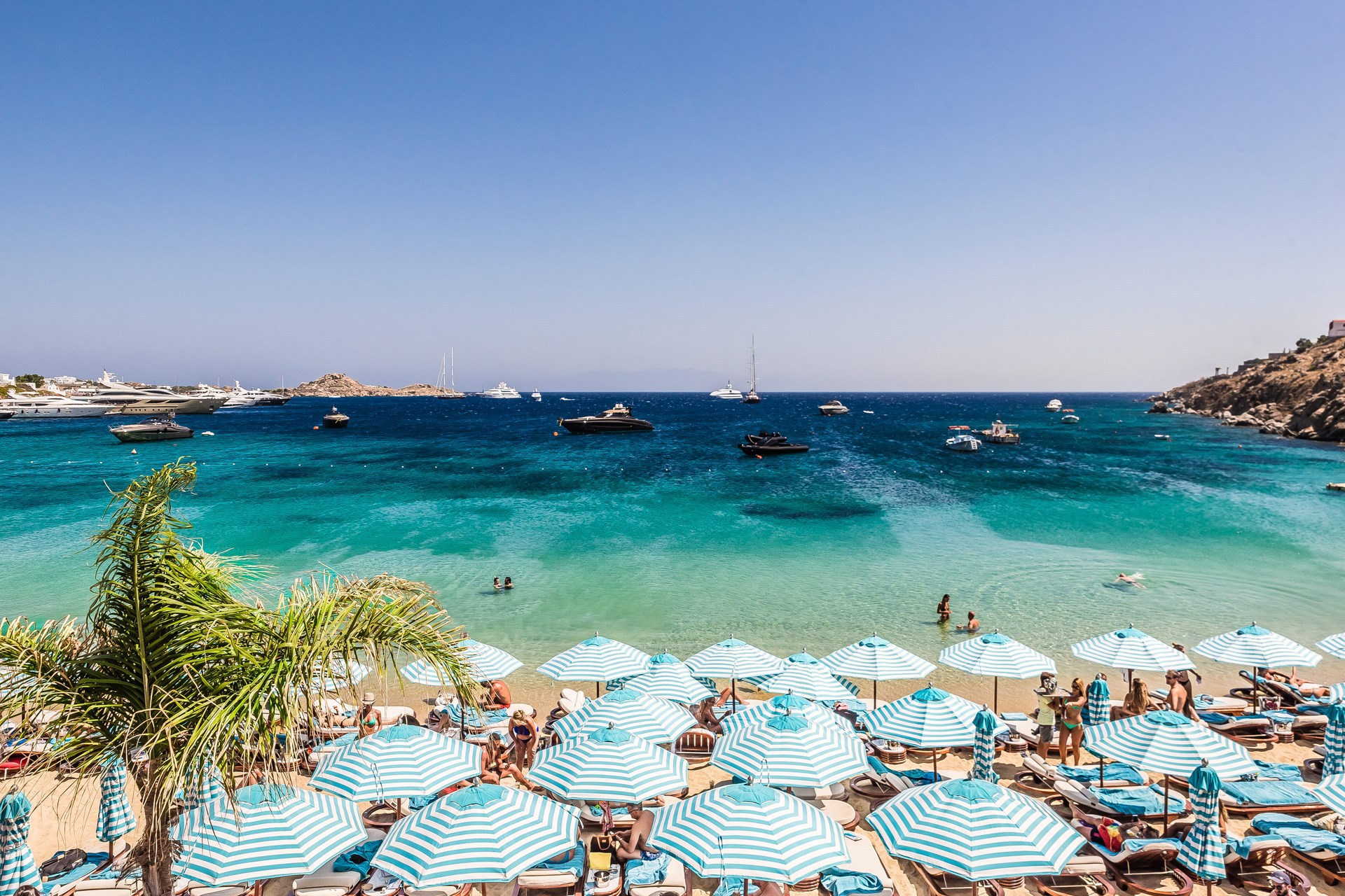 ο-δηκτησ-23-9-17-2210644