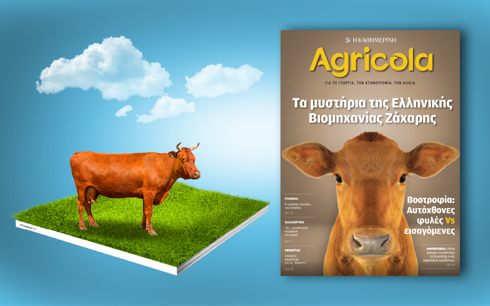 agricola-2208540