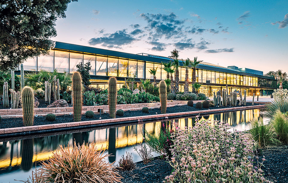 κήπος-χωρίς-νερό-2208173