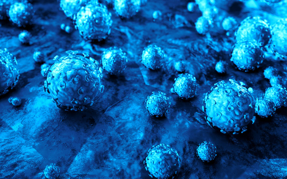 hpv-ο-ιός-και-η-φυσική-ιστορία-της-λοίμωξη-2207700