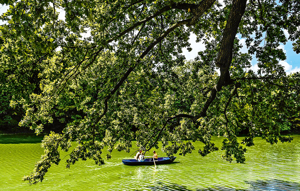 φθινόπωρο-στη-δρέσδη-2209210