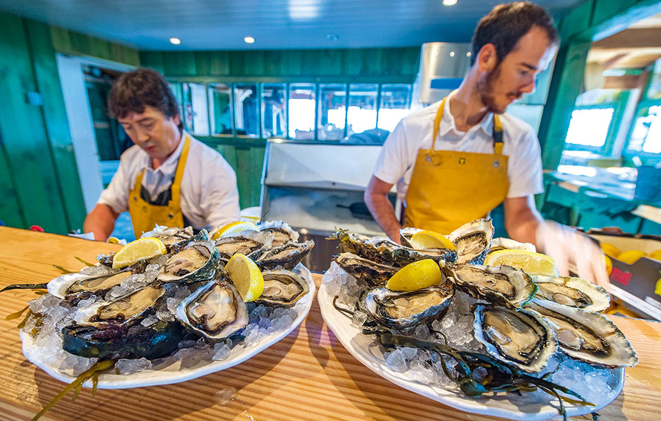 στρείδια-στο-πιάτο-2211305