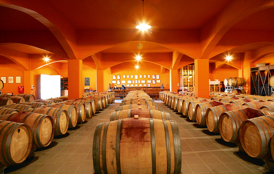 οινοτουρισμός-μια-μέρα-στο-αμπέλι-2209901