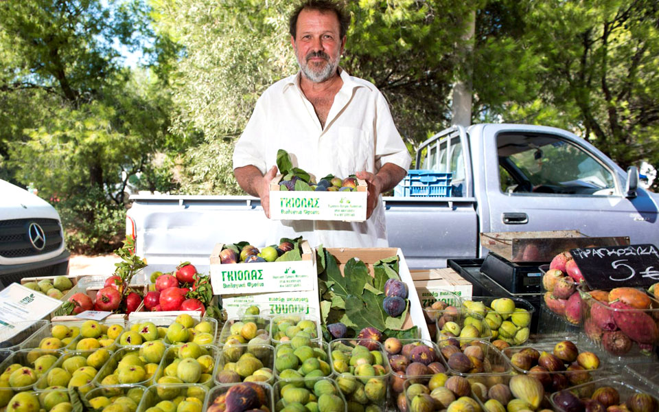 αλέξανδρος-γκιόλας-φρούτα-φθινοπωρι-2209696