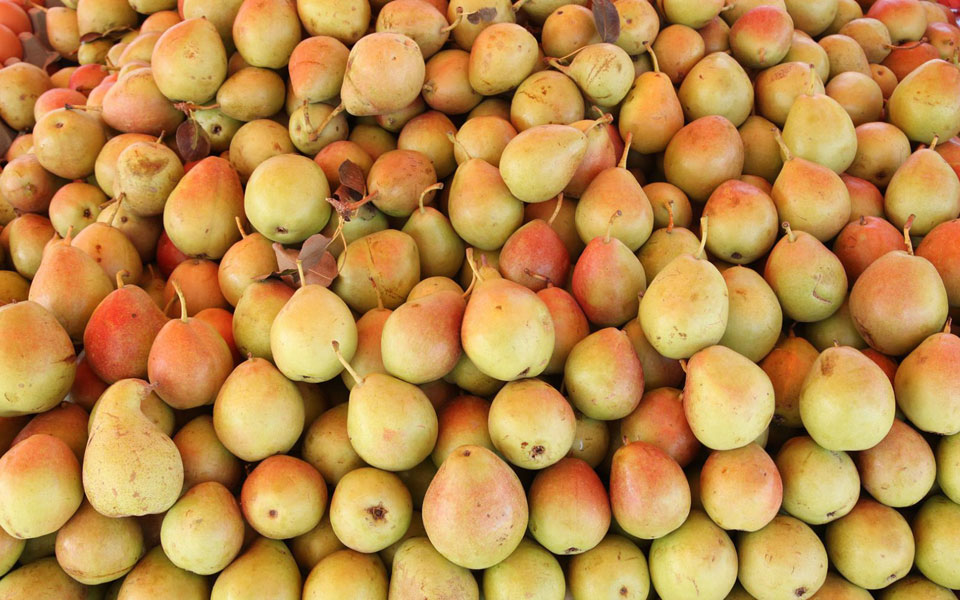 το-καλάθι-του-σεπτεμβρίου-2207679