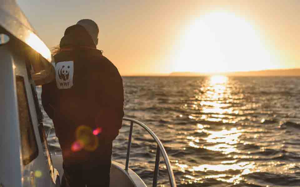 δυσάρεστα-νέα-για-τη-μεσόγειο-2211129