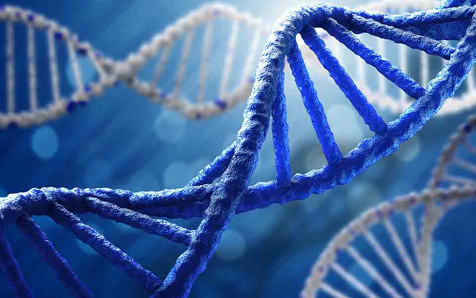 κίνα-επιστήμονες-θεράπευσαν-γενετικ-2211299