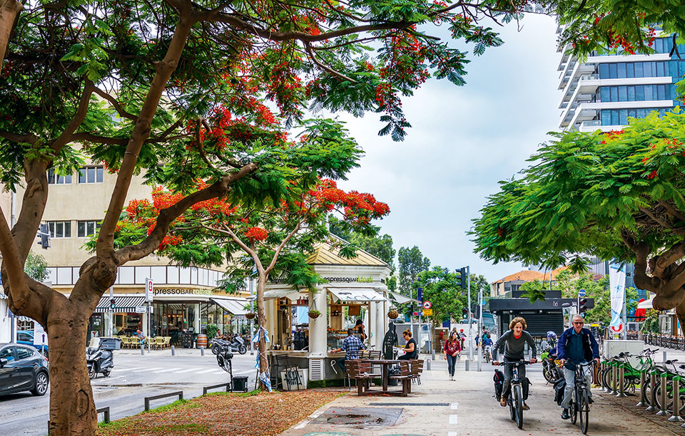 τελ-αβίβ-by-locals-2208164