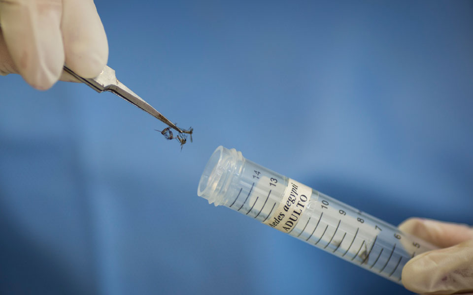 στη-μάχη-κατά-του-καρκίνου-μπορεί-να-βο-2207942