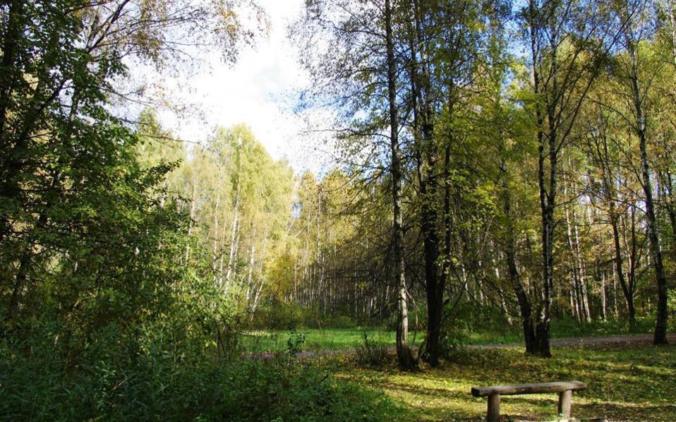 ξεκινούν-νέες-αναρτήσεις-δασικών-χαρ-2215561