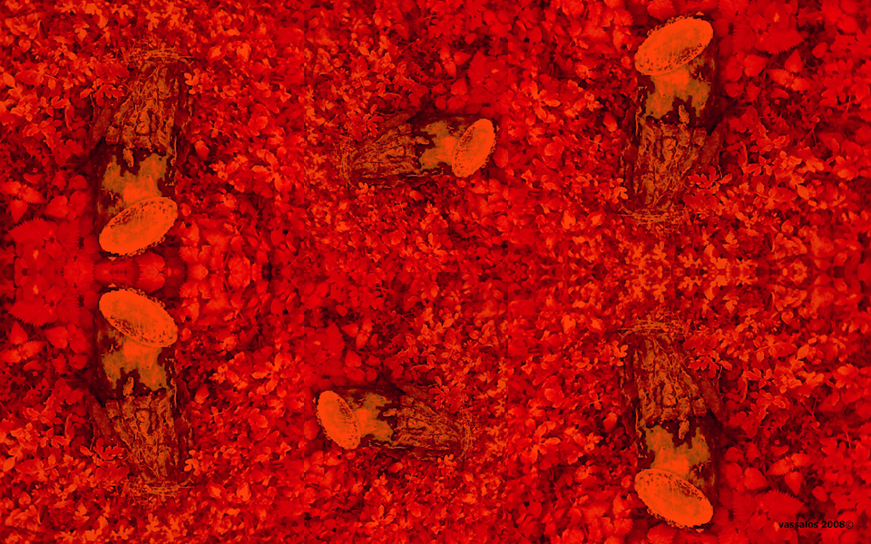 τα-χρώματα-του-αντιφατικού-κόσμου-2212415