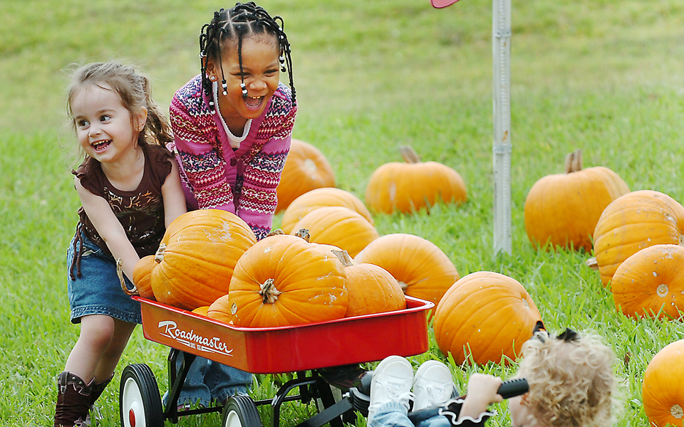 κρίσεις-γέλιου-από-τραυματισμό-εγκεφ-2213242