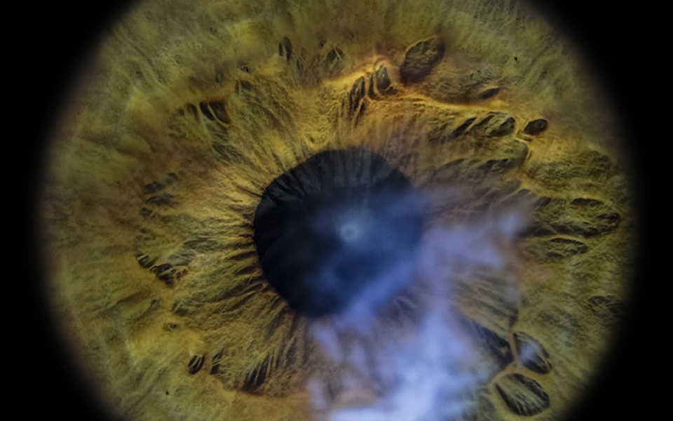 αναζητώντας-τη-λύτρωση-στο-σκοτάδι-2213259