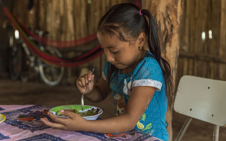 φασολάδα-από-χρυσάφι-2214505